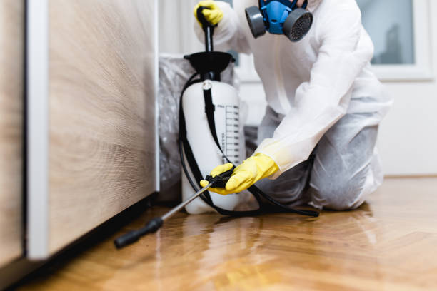 Best Emergency Pest Control  in Dasher, GA