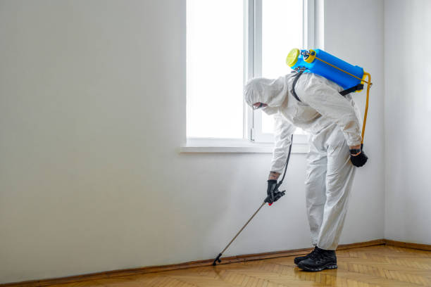 Flea Control Services in Dasher, GA