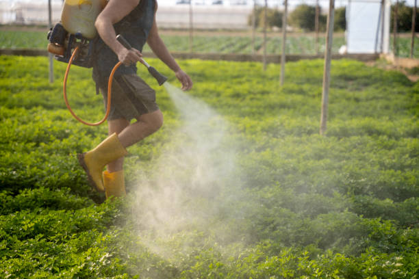 Pest Prevention Services in Dasher, GA