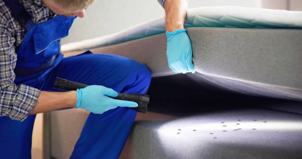 Reliable Dasher, GA Pest Control Solutions