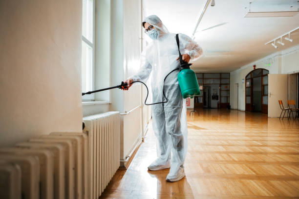 Best Termite Control Services  in Dasher, GA