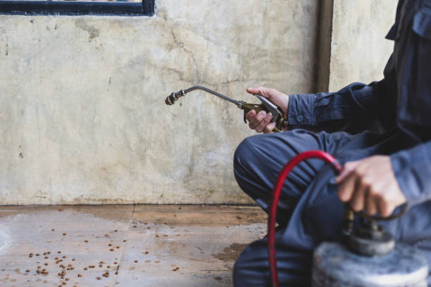 Best Ant Control Services  in Dasher, GA