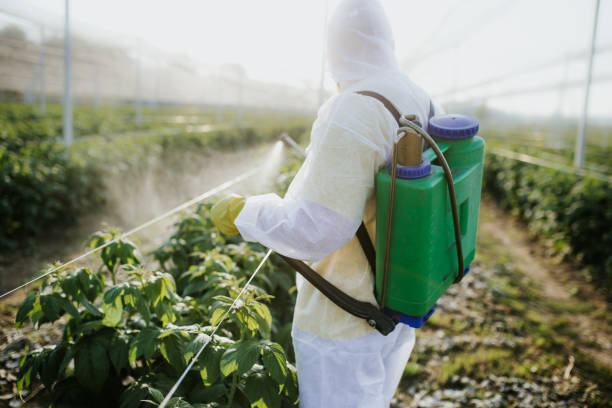 Best Affordable Pest Control Services  in Dasher, GA